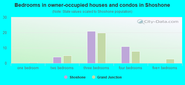 Bedrooms in owner-occupied houses and condos in Shoshone