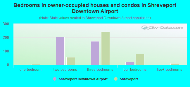 Bedrooms in owner-occupied houses and condos in Shreveport Downtown Airport