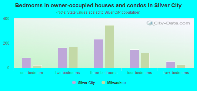 Bedrooms in owner-occupied houses and condos in Silver City