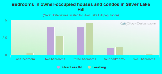 Bedrooms in owner-occupied houses and condos in Silver Lake Hill