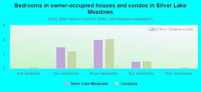 Bedrooms in owner-occupied houses and condos in Silver Lake Meadows