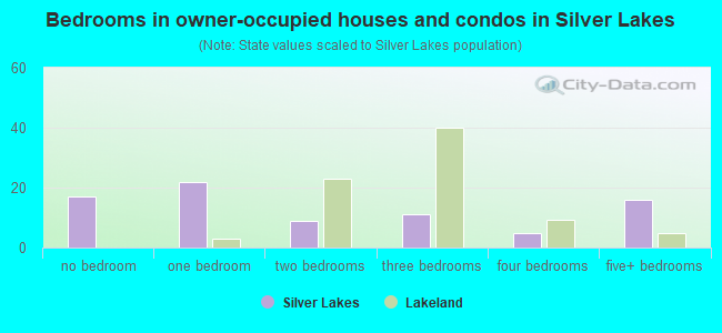 Bedrooms in owner-occupied houses and condos in Silver Lakes