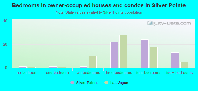Bedrooms in owner-occupied houses and condos in Silver Pointe