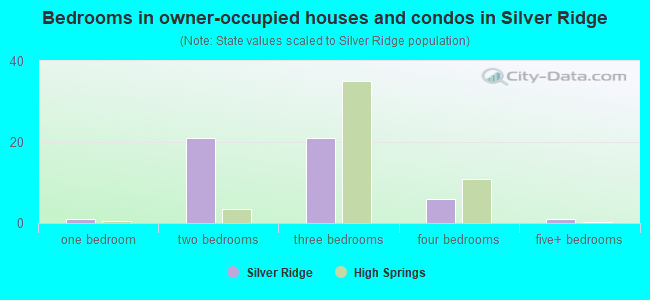 Bedrooms in owner-occupied houses and condos in Silver Ridge