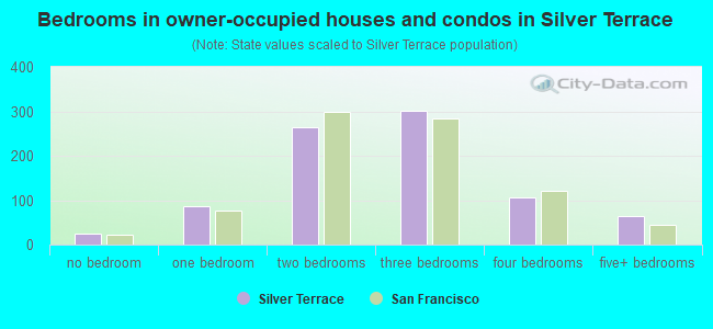 Bedrooms in owner-occupied houses and condos in Silver Terrace