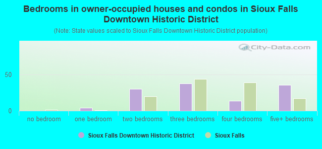 Bedrooms in owner-occupied houses and condos in Sioux Falls Downtown Historic District