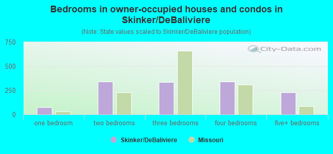 Bedrooms in owner-occupied houses and condos in Skinker/DeBaliviere