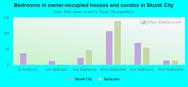 Bedrooms in owner-occupied houses and condos in Skunk City