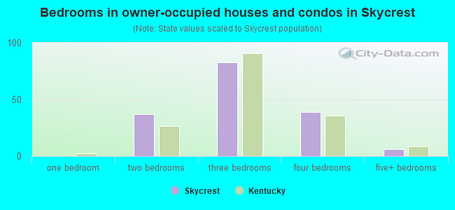 Bedrooms in owner-occupied houses and condos in Skycrest