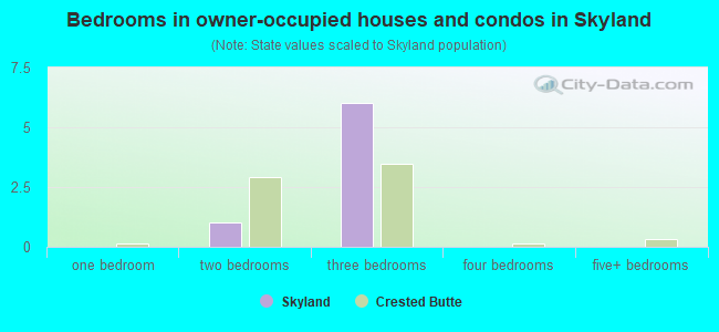 Bedrooms in owner-occupied houses and condos in Skyland