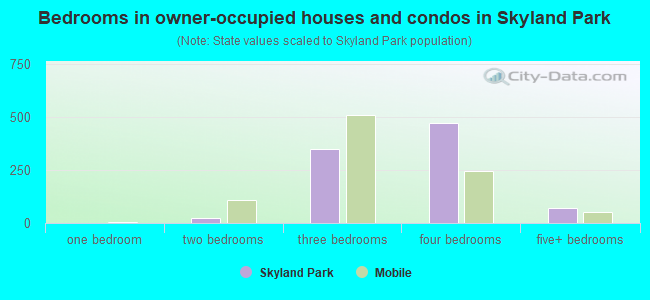 Bedrooms in owner-occupied houses and condos in Skyland Park