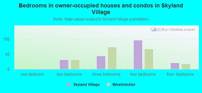 Bedrooms in owner-occupied houses and condos in Skyland Village