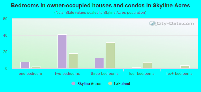 Bedrooms in owner-occupied houses and condos in Skyline Acres