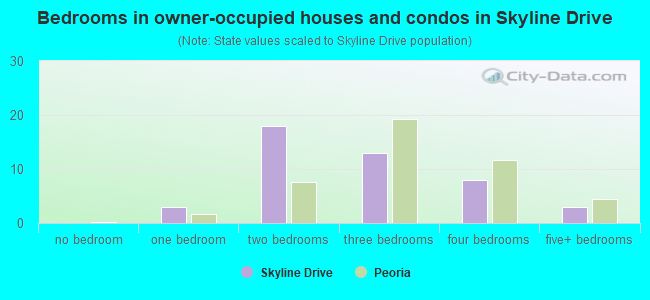 Bedrooms in owner-occupied houses and condos in Skyline Drive