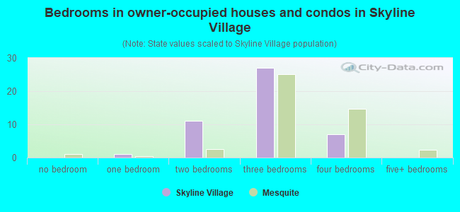 Bedrooms in owner-occupied houses and condos in Skyline Village