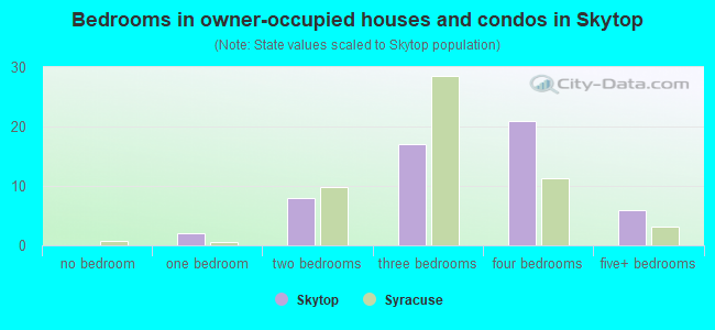 Bedrooms in owner-occupied houses and condos in Skytop