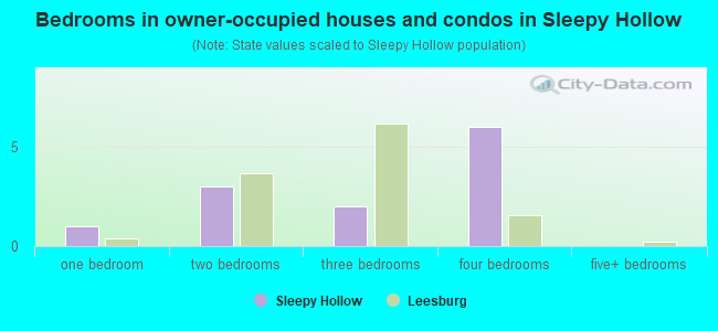 Bedrooms in owner-occupied houses and condos in Sleepy Hollow
