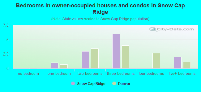 Bedrooms in owner-occupied houses and condos in Snow Cap Ridge