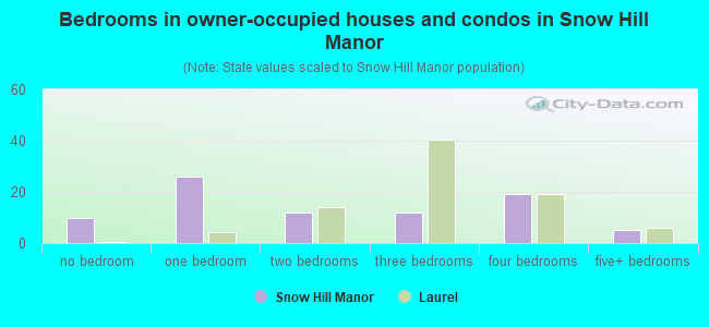 Bedrooms in owner-occupied houses and condos in Snow Hill Manor