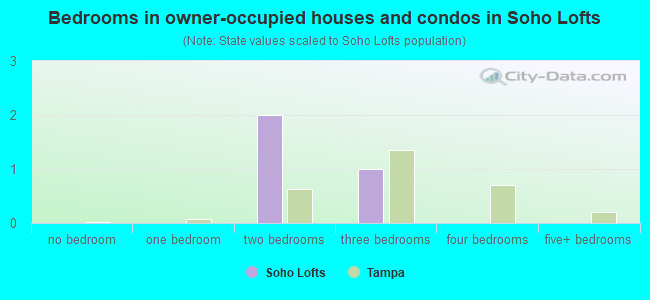 Bedrooms in owner-occupied houses and condos in Soho Lofts
