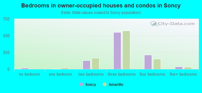 Bedrooms in owner-occupied houses and condos in Soncy