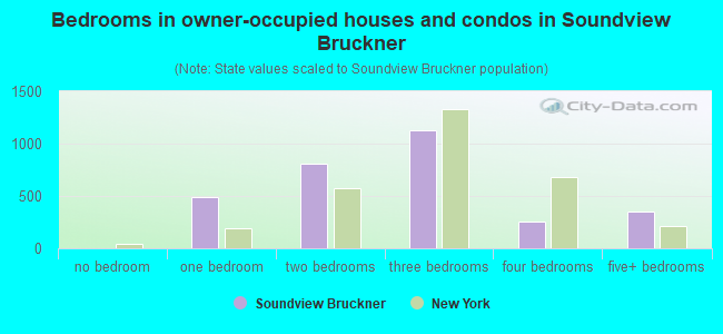 Bedrooms in owner-occupied houses and condos in Soundview Bruckner