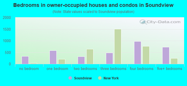 Bedrooms in owner-occupied houses and condos in Soundview