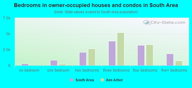 Bedrooms in owner-occupied houses and condos in South Area