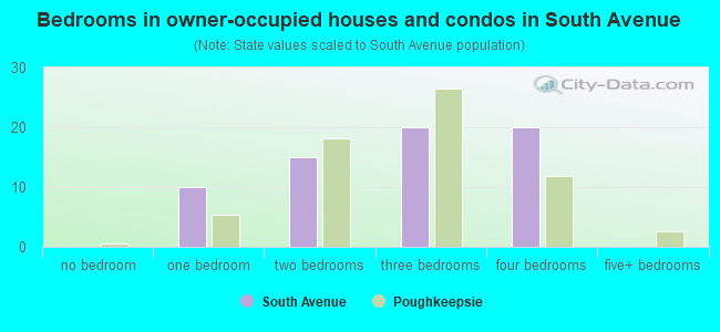 Bedrooms in owner-occupied houses and condos in South Avenue