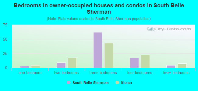 Bedrooms in owner-occupied houses and condos in South Belle Sherman