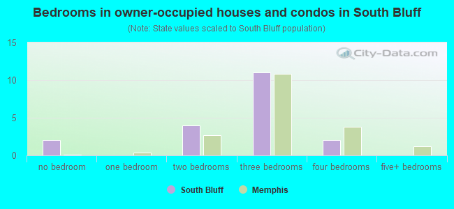Bedrooms in owner-occupied houses and condos in South Bluff