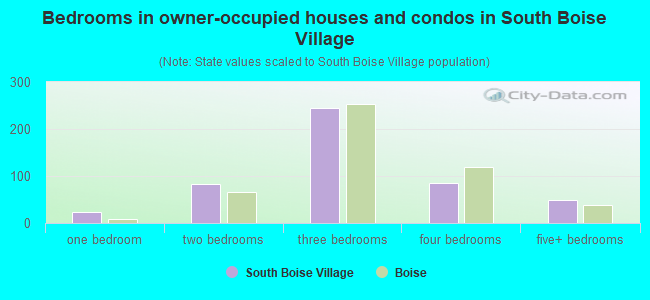 Bedrooms in owner-occupied houses and condos in South Boise Village