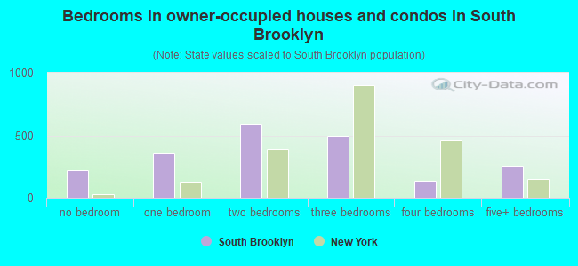 Bedrooms in owner-occupied houses and condos in South Brooklyn