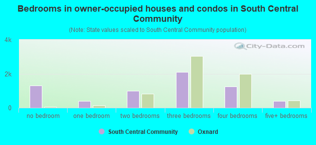 Bedrooms in owner-occupied houses and condos in South Central Community