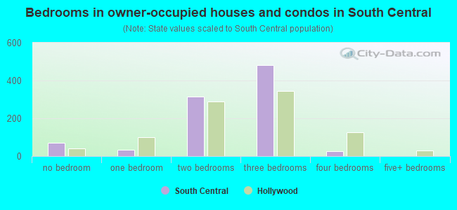 Bedrooms in owner-occupied houses and condos in South Central
