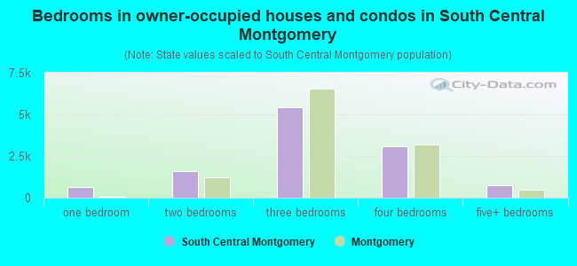 Bedrooms in owner-occupied houses and condos in South Central Montgomery