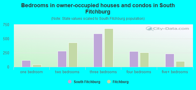 Bedrooms in owner-occupied houses and condos in South Fitchburg
