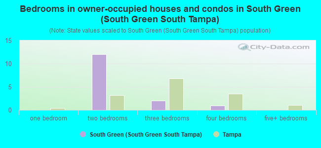 Bedrooms in owner-occupied houses and condos in South Green (South Green South Tampa)