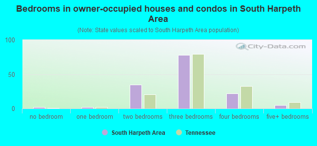 Bedrooms in owner-occupied houses and condos in South Harpeth Area