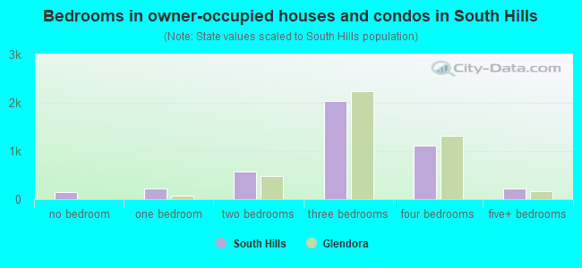 Bedrooms in owner-occupied houses and condos in South Hills