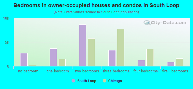 Bedrooms in owner-occupied houses and condos in South Loop
