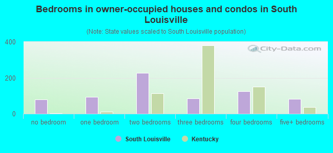Bedrooms in owner-occupied houses and condos in South Louisville