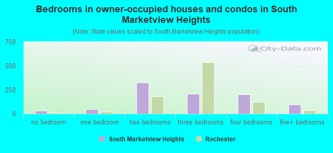 Bedrooms in owner-occupied houses and condos in South Marketview Heights