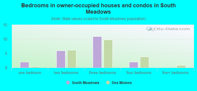 Bedrooms in owner-occupied houses and condos in South Meadows