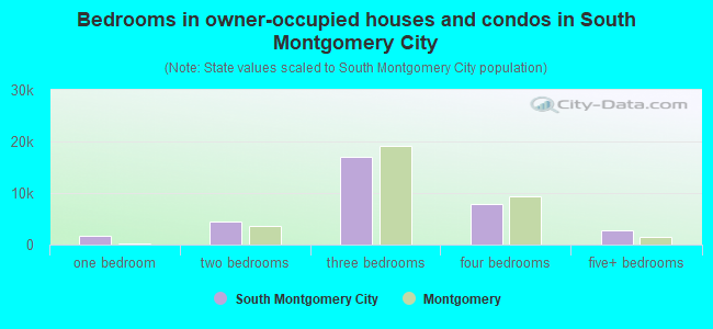 Bedrooms in owner-occupied houses and condos in South Montgomery City