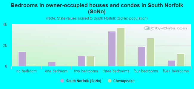 Bedrooms in owner-occupied houses and condos in South Norfolk (SoNo)
