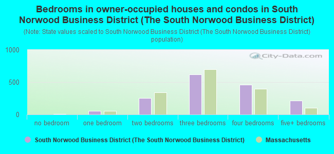 Bedrooms in owner-occupied houses and condos in South Norwood Business District (The South Norwood Business District)