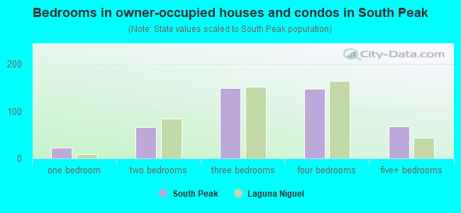 Bedrooms in owner-occupied houses and condos in South Peak