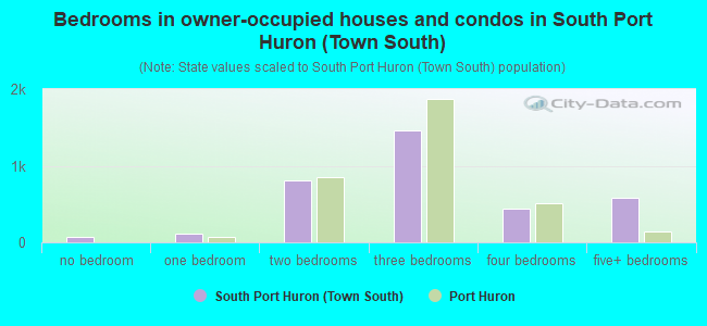 Bedrooms in owner-occupied houses and condos in South Port Huron (Town South)