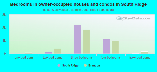 Bedrooms in owner-occupied houses and condos in South Ridge